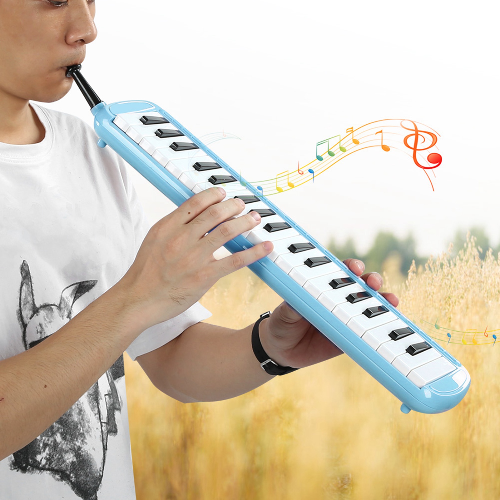 Musical Instrument Reed - Melodica Instrumento musical de viento de