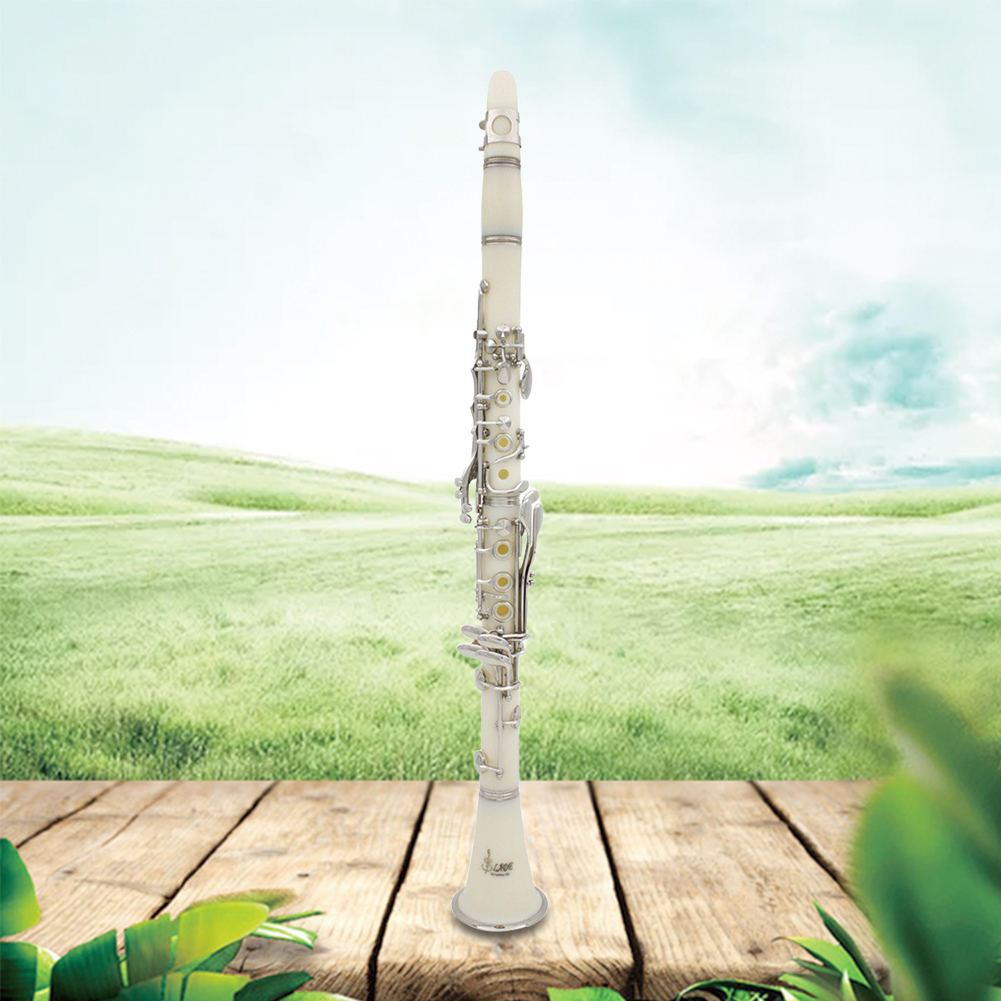 Clarinete Bb de 17 Llaves con  - Musical Instrument Reed reseña y precio