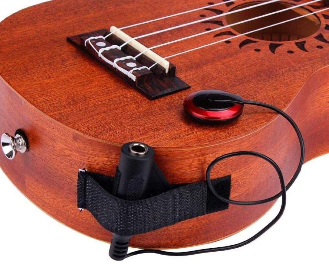 Pastilla de micrófono de conta - Musical Instrument Art reseña y precio